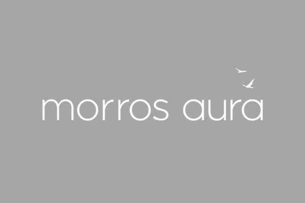 LOGO WEB